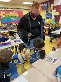 Canine Officers visited and explained what service their dogs provide.