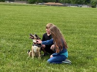 Our Therapy Dog - Daisy
